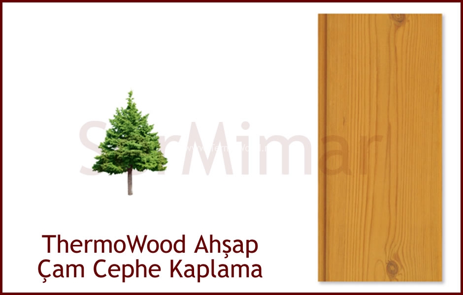 ThermoWood Çam Ekstra Cephe